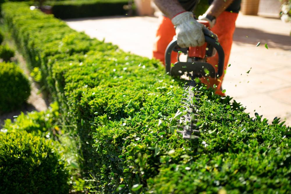 Entretien de jardin à Le Havre