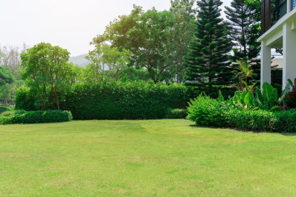 jardin