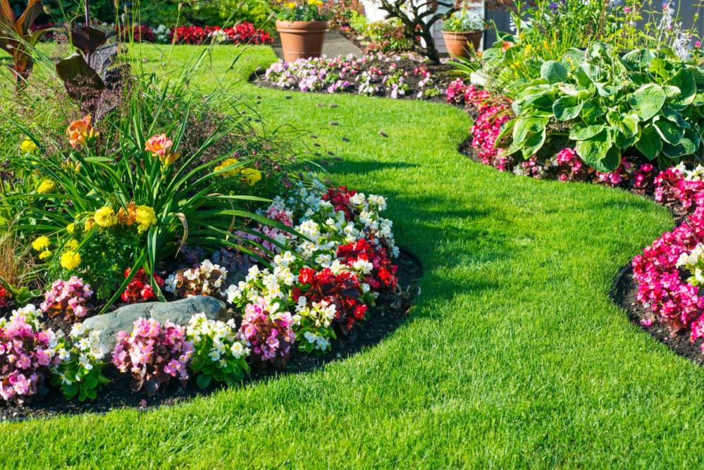 jardin fleuri